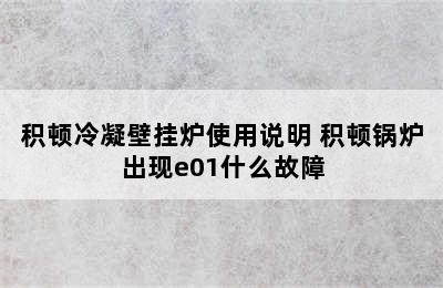 积顿冷凝壁挂炉使用说明 积顿锅炉出现e01什么故障